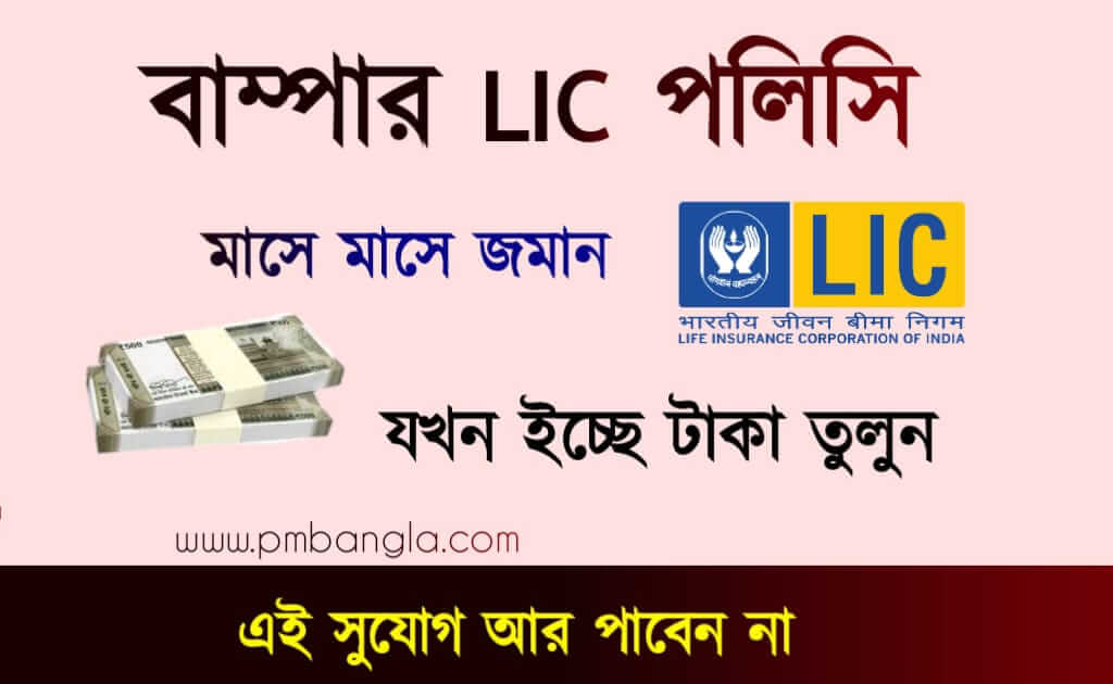 জীবন অক্ষয় পলিসি Lic New Scheme Policy