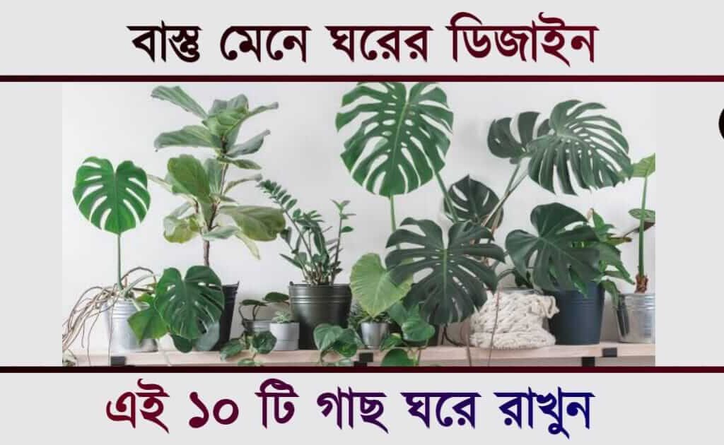 Vastu Decorative Items - বাস্তু মেনে ঘরের ডিজাইন পরিকল্পনা।