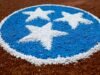 Five Lady Vols បានដាក់ឈ្មោះថា NFCA Mid-Atlantic All-Region