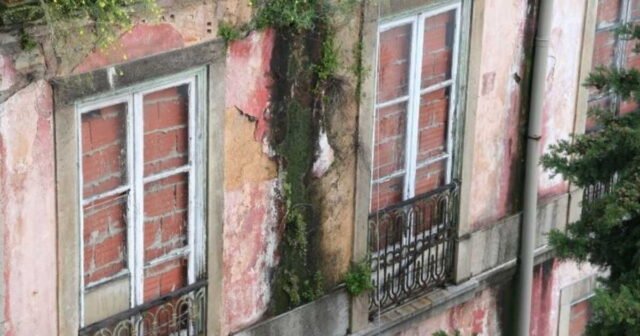 1778794544_la-fin-d-une-bataille-judiciaire-pour-cette-retraitee-qui-retrouve-son-logement-squatte.jpg