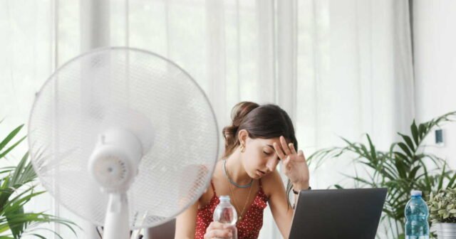 1779769684_canicule-quelles-sont-les-regles-du-teletravail-pendant-les-periodes-de-forte-chaleur.jpg