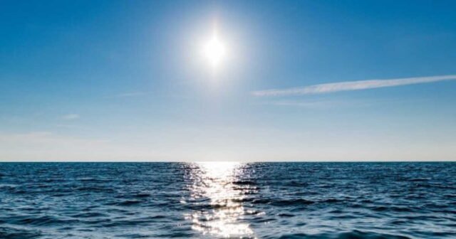 1779856562_canicule-en-france-deja-7-morts-enregistres.jpg