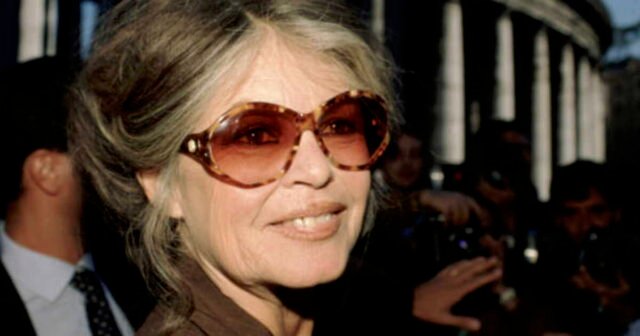 1779985378_l-appartement-parisien-de-brigitte-bardot-est-a-vendre-pres-du-trocadero-toutes-les-infos.jpg
