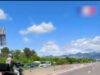 សត្វឆ្កែមួយក្បាលត្រូវបានជួយសង្គ្រោះ បន្ទាប់ពីរត់ទៅឆ្ងាយនៅលើផ្លូវហាយវេ