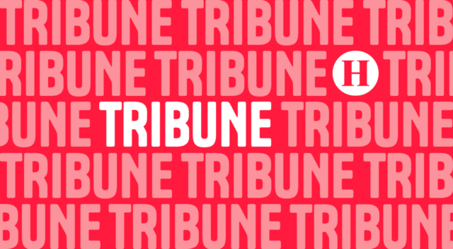 Vignette_2024_tribune_97bbf4_32f29f.webp.png