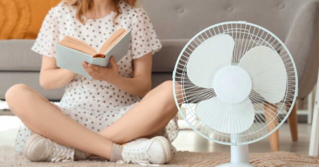 1781796911_canicule-comment-savoir-si-vous-vivez-vraiment-dans-une-passoire-thermique.jpg