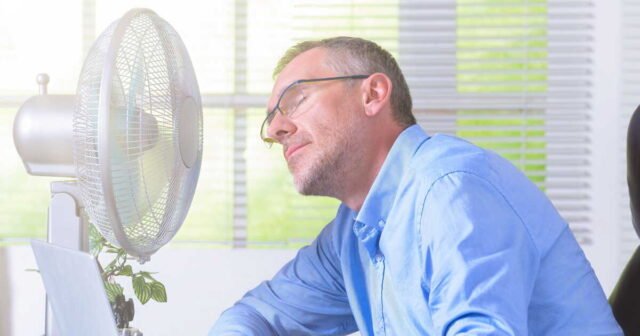 canicule-quelles-sont-les-obligations-de-votre-employeur-pour-vous-proteger-des-fortes-chaleurs-qui.jpeg