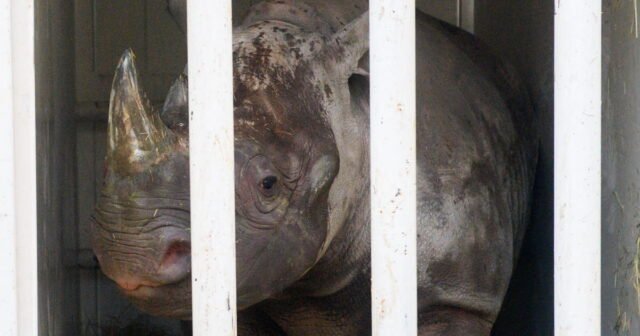 photo-1781789411.jpg