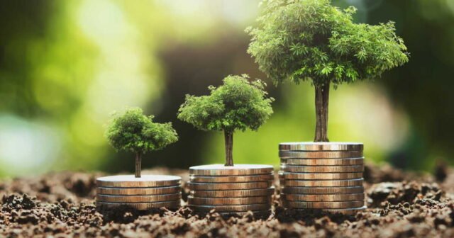 1782922043_fonds-euros-generali-le-boost-prolonge-jusqu-en-decembre-quels-contrats-sont-concernes.jpg