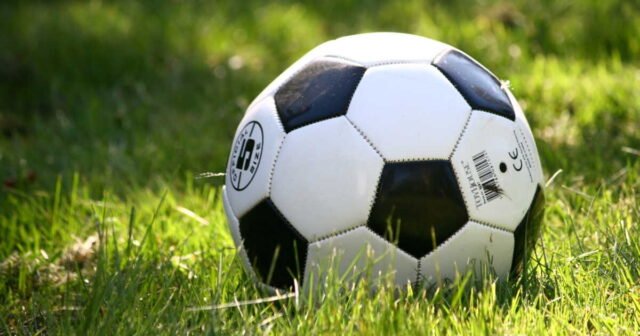 1783803866_coupe-du-monde-la-fifa-vend-des-morceaux-de-pelouse-de-la-finale-a-des-centaines-d-euros.jpg