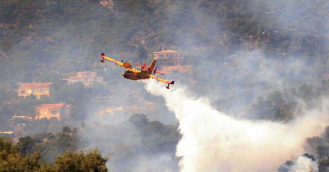 1783983985_feu-de-foret-a-fontainebleau-decouvrez-les-images-impressionnantes-des-canadairs-ecopant-sur-la-sein.jpeg