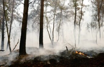 Fontainebleau আগুন “এখনও বিকাশ করছে”, 26 টি বিভাগ রেড অ্যালার্টে