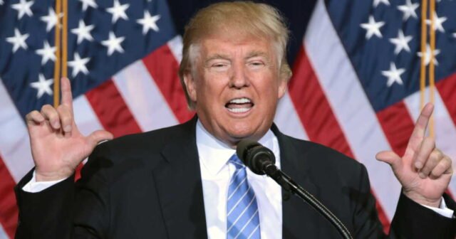 1785027107_pour-reinstaurer-les-droits-de-douane-les-etats-unis-etablissent-un-mur-tarifaire.jpg