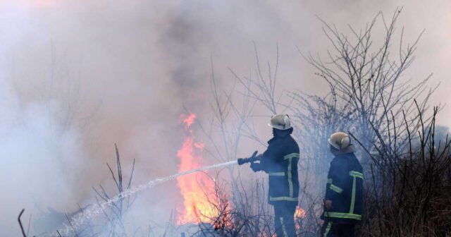 1785130015_incendies-en-gironde-comment-soutenir-les-pompiers-mobilises-et-leurs-familles.jpg