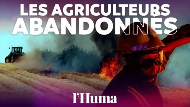 Agriculteurs.webp.jpeg