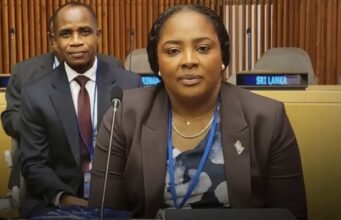 হাইতি ECOSOC এর টেকসই উন্নয়নের প্রতি তার প্রতিশ্রুতি পুনর্ব্যক্ত করেছে হাইতি থেকে সর্বশেষ খবর: রাজনীতি, নিরাপত্তা, অর্থনীতি, সংস্কৃতি।