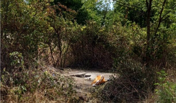 বাল্টিমোরে চূড়ান্ত খননের অবস্থান, চারটি চিহ্নিতকারী এবং প্রচুর গাছপালা, নেউফ-ব্রিসাচের কেন্দ্র থেকে প্রায় 500 মিটার দূরে, ফটো ড.