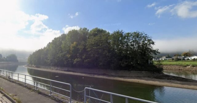 photo-1783619737.jpg