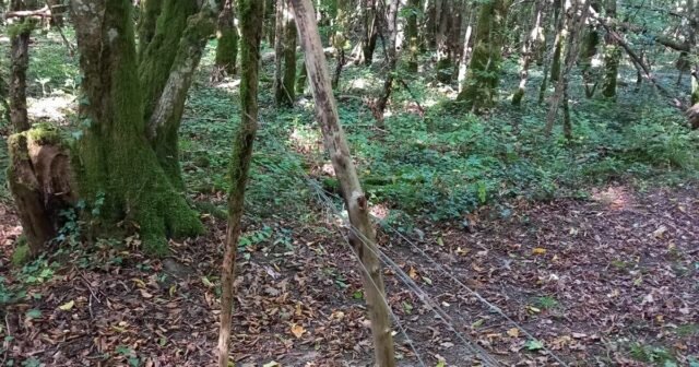 photo-1783713861.jpg