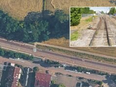জার্মানি। একটি ট্রেনের ধাক্কায়, ট্র্যাজেডির এক সেকেন্ড আগে সে তার বাচ্চাকে বাঁচায়