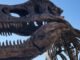 নিউইয়র্ক। Tyrannosaurus Rex নিলামে $30 মিলিয়নেরও বেশি দামে বিক্রি হতে পারে