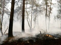 Fontainebleau আগুন “এখনও বিকাশ করছে”, 26 টি বিভাগ রেড অ্যালার্টে