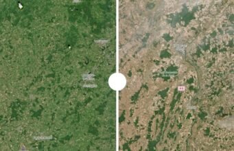 ইনফোগ্রাফিক্স। আগে/পরে: কীভাবে “অসাধারণ” খরা ফরাসি অঞ্চলকে রূপান্তরিত করেছে